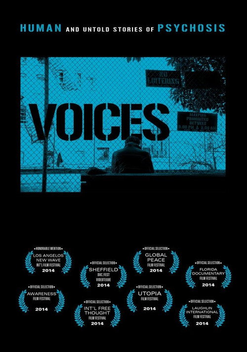 Movie poster for Voices (2013)