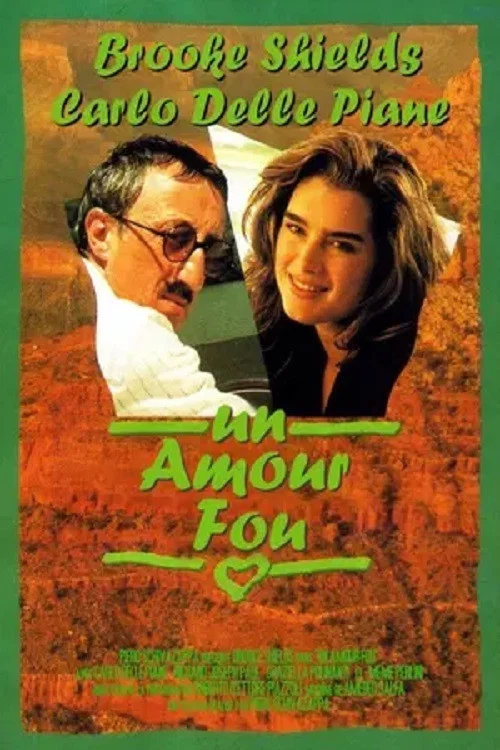 Movie poster for An American Love (1994)