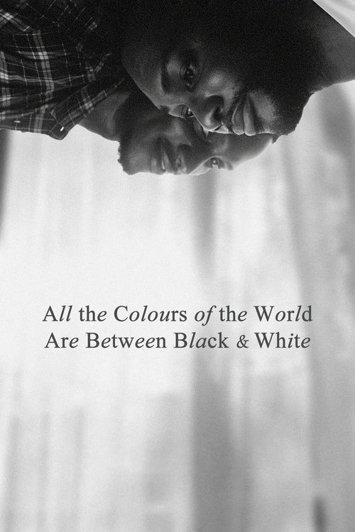 Movie poster for All the Colours of the World Are Between Black and White (2023)