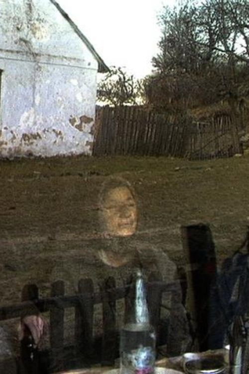 Movie poster for Lindenfeld 1994 (1994)