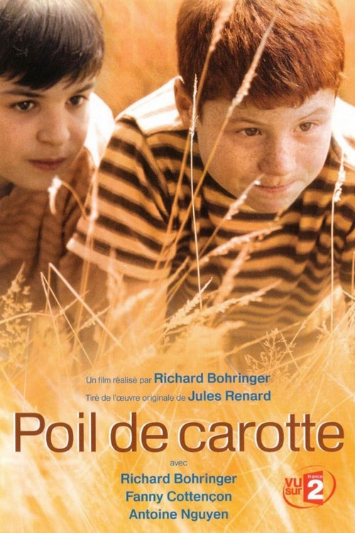 Movie poster for Carrot Top (2003)