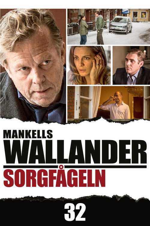 Movie poster for Wallander: The Sad Bird (2013)