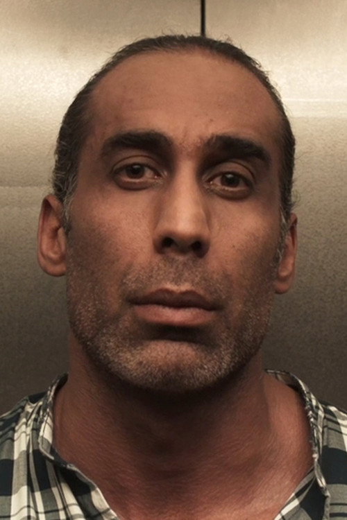 Photo of Amir Hessam Bakhtiari, Acting