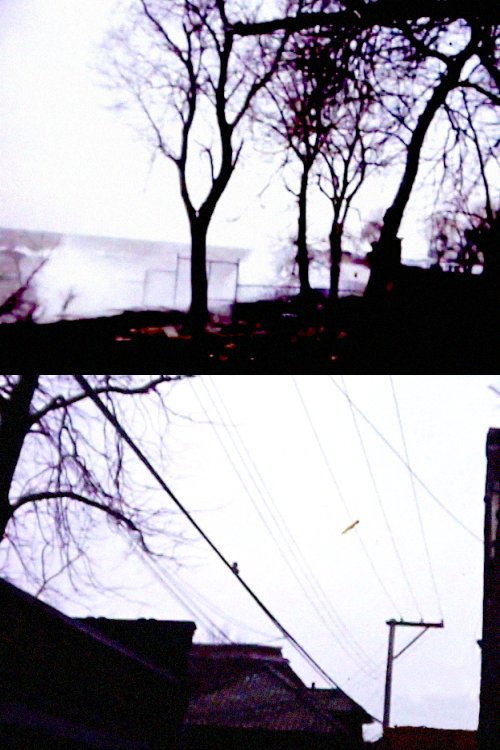 Movie poster for Cold Day with Chuck (1984)