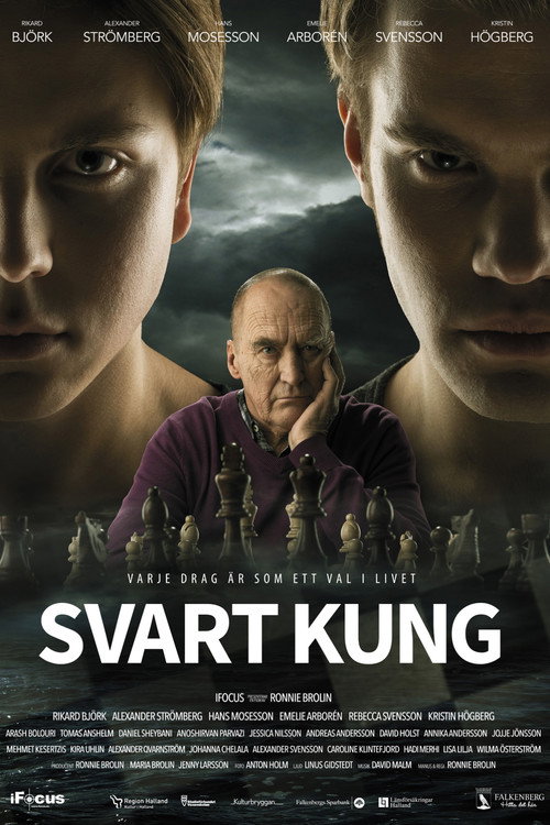 Movie poster for Black King (2014)