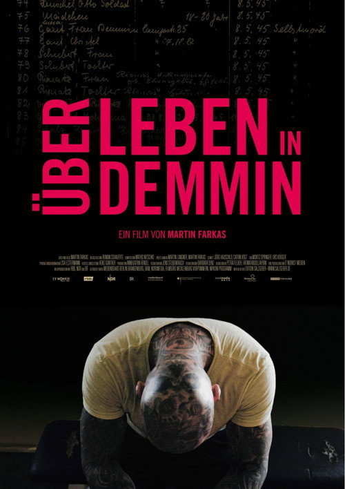 Movie poster for Living in Demmin (2017)