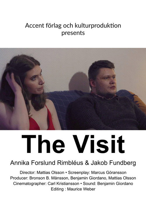 Movie poster for The Visit (2021)