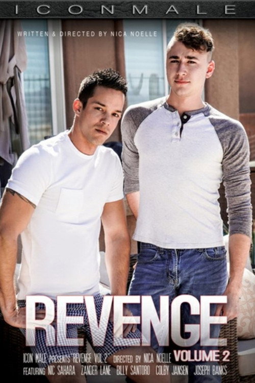 Movie poster for Revenge 2 (2019)