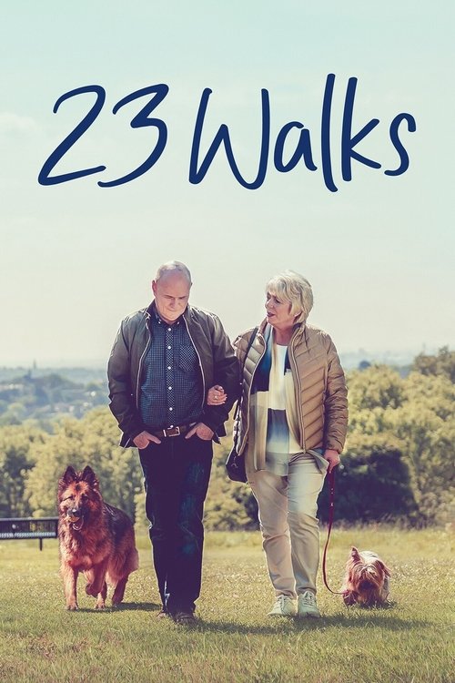 Movie poster for 23 Walks (2020)