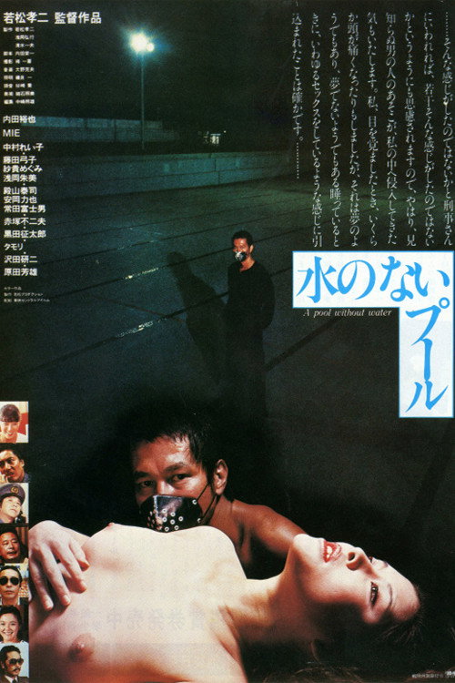 Movie poster for A Pool Without Water (1982)
