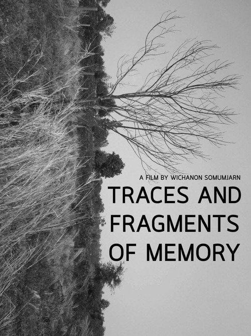 Movie poster for Traces and Fragments of Memory (2020)