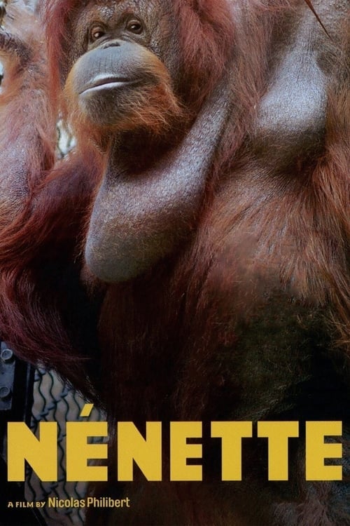 Movie poster for Nénette (2010)