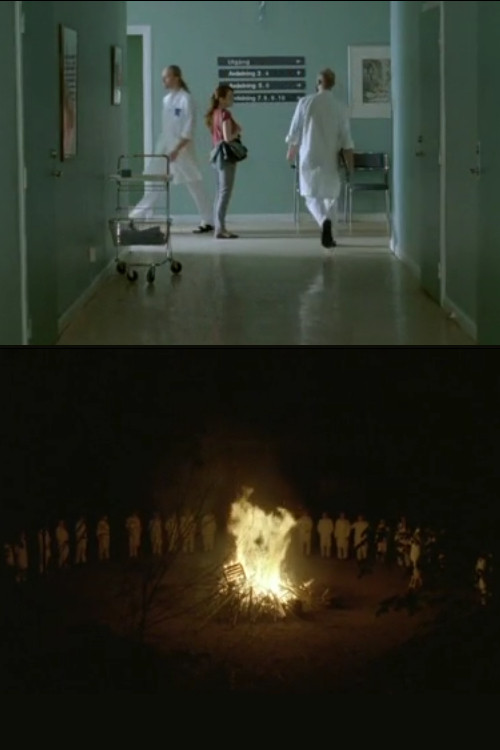 Movie poster for The Rite Of Spring (2008)