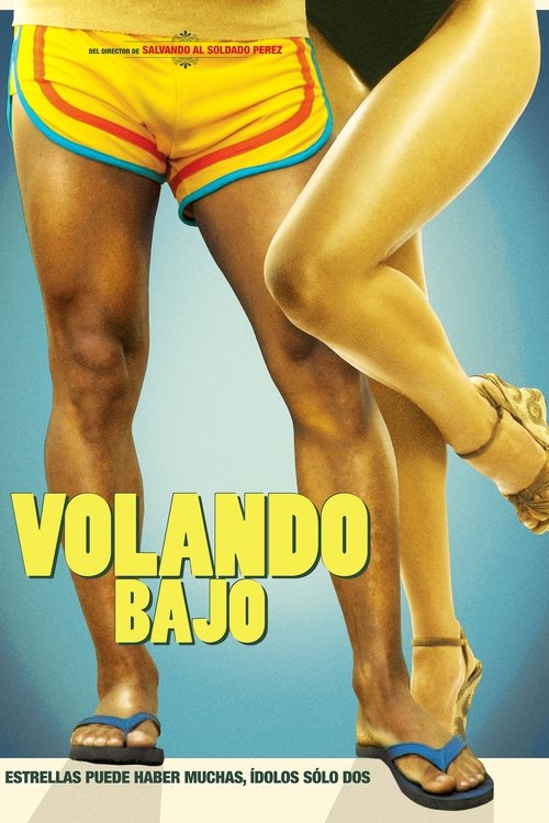 Movie poster for Flying low (2013)