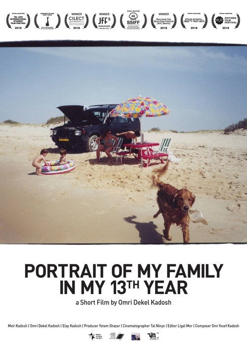 Movie poster for Portrait of My Family in My 13th Year (2017)