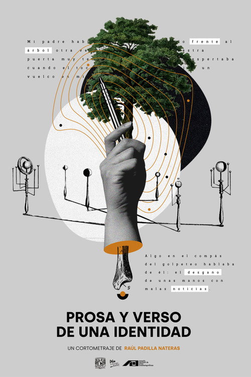Movie poster for Prosa y verso de una identidad (2020)