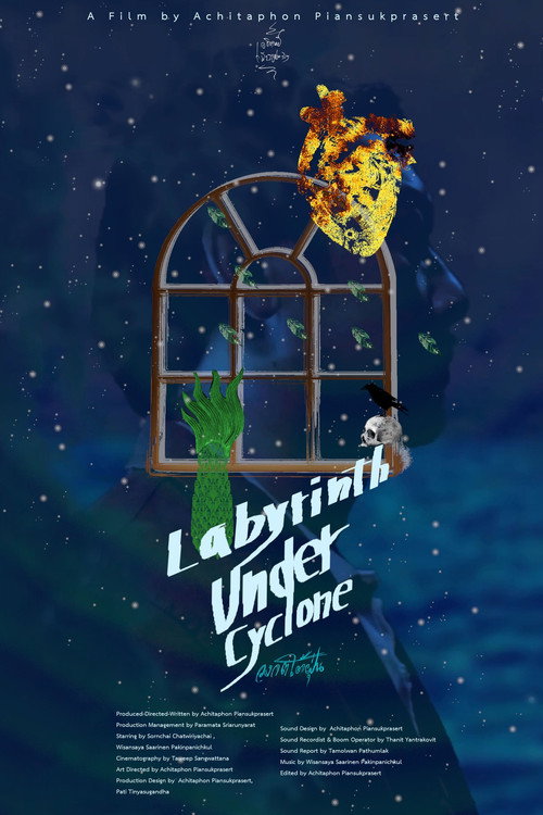 Movie poster for Labyrinth Under Cyclone (2025)