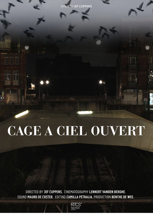 Movie poster for Cage À Ciel Ouvert (2025)