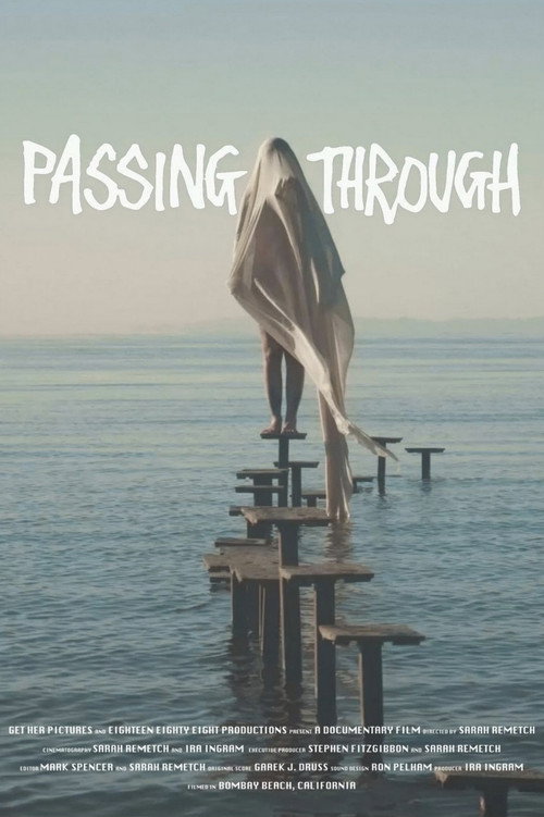 Movie poster for Passing Through (2024)