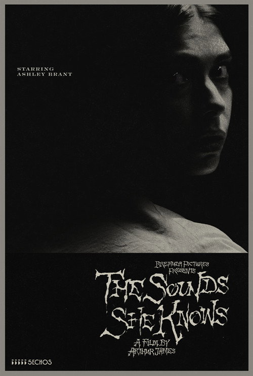 Movie poster for The Sounds She Knows