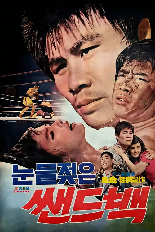 Movie poster for Tearful Sandbag (1975)