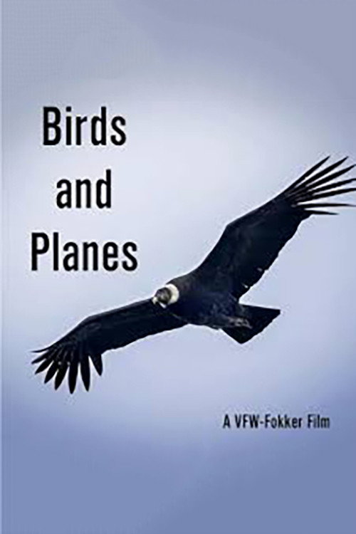 Movie poster for Birds and Planes (1967)