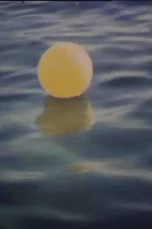 Movie poster for I Swam in the Sea Last Week (2003)