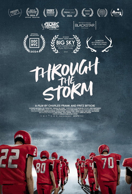 Movie poster for Through the Storm (2024)