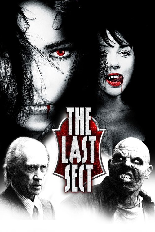 Movie poster for The Last Sect (2006)