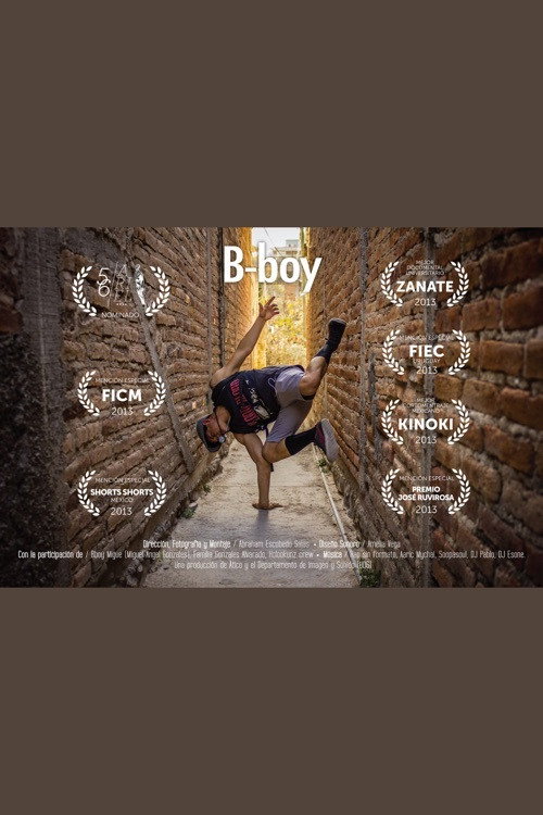 Movie poster for B-boy (2013)