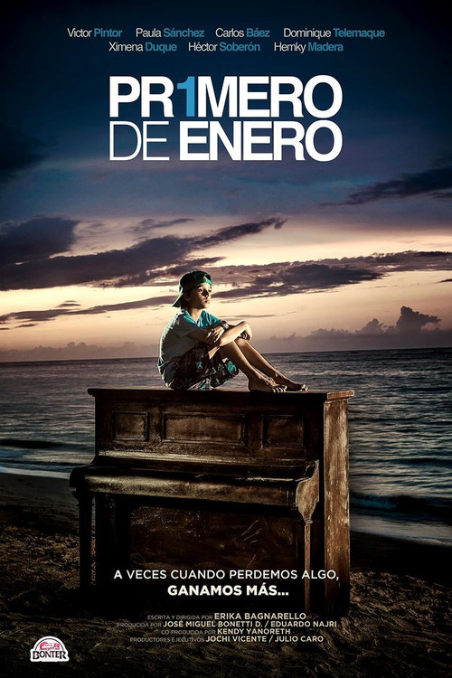 Movie poster for Primero De Enero (2014)