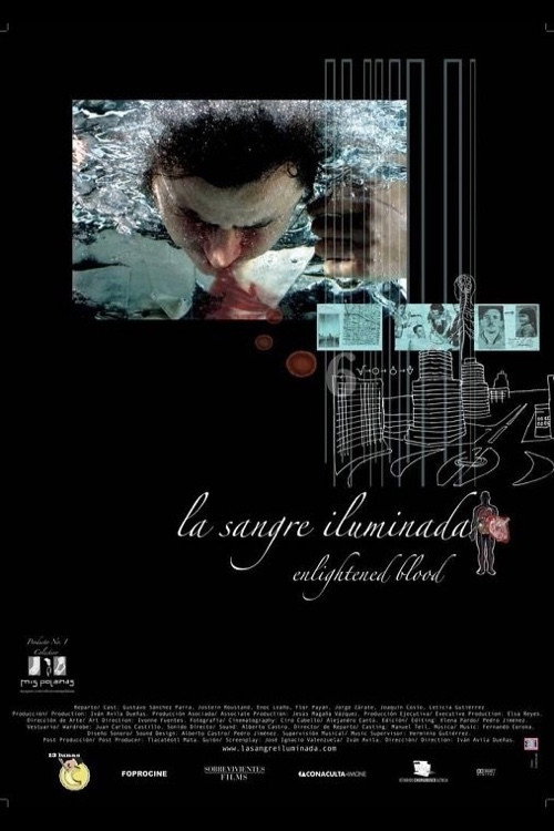 Movie poster for Enlightened Blood (2008)