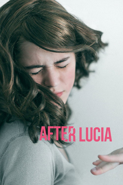 Movie poster for After Lucia (2012)