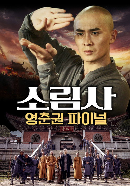 Movie poster for 南少林永春拳之突破重围