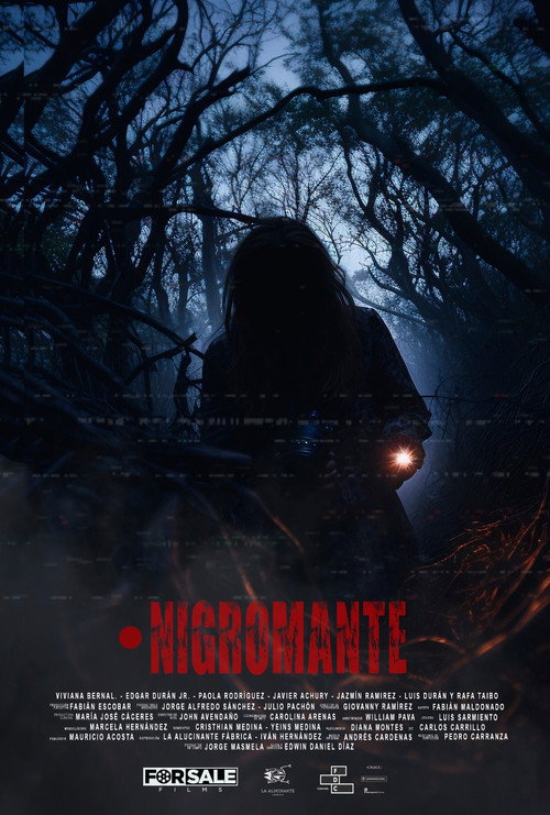 Movie poster for Necromancer (2023)