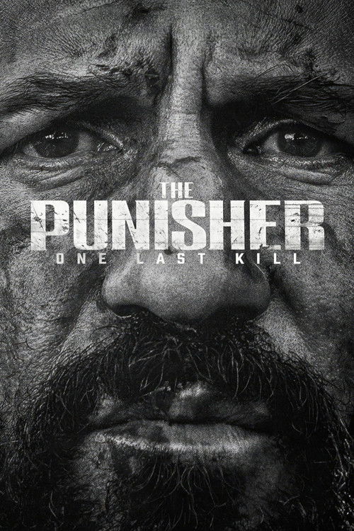 The Punisher: One Last Kill poster