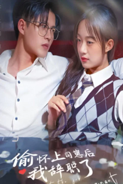 偷怀上司崽后我辞职了 poster