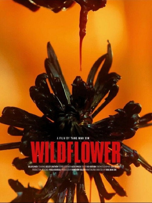 Movie poster for Wildflower (2024)