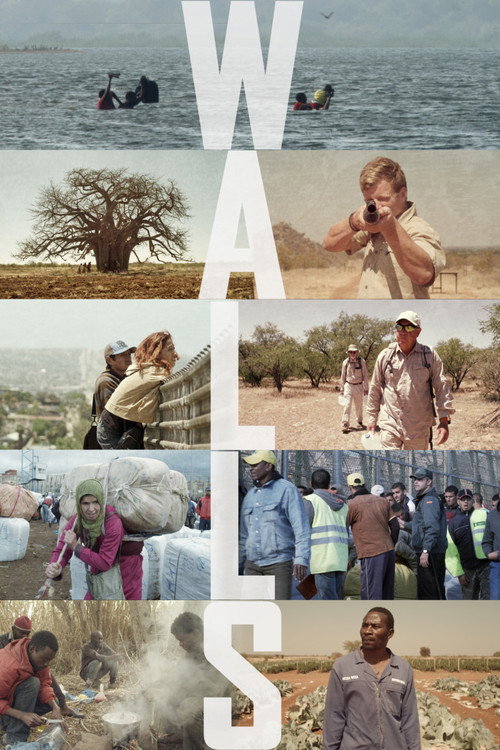 Movie poster for Walls (2015)