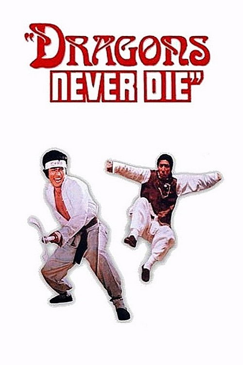 Movie poster for Kung Fu 10th Dan (1974)
