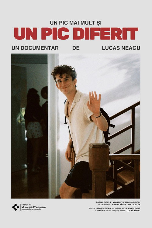 Movie poster for Documentary: A bit more and a bit different (2025)
