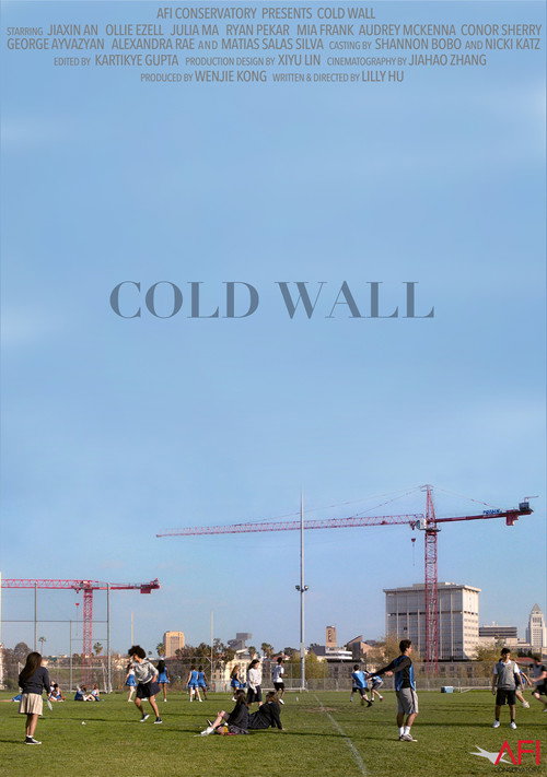 Movie poster for Cold Wall (2021)