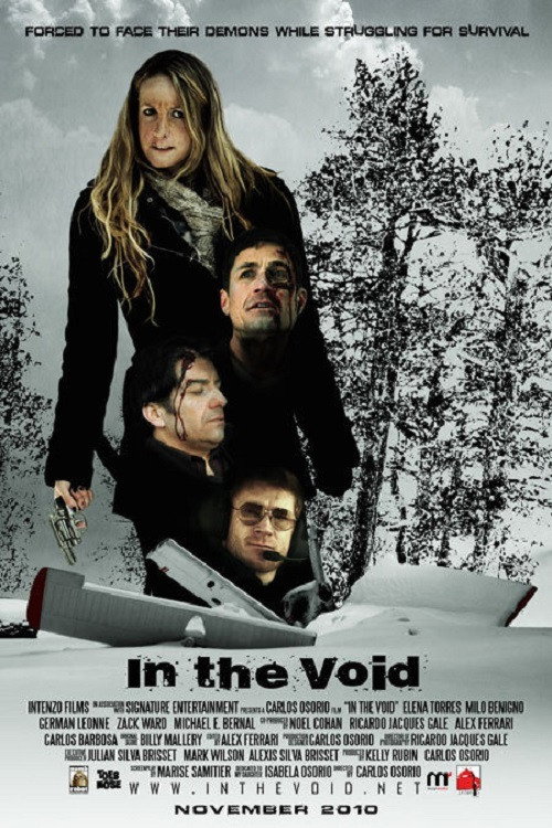 Movie poster for In the Void (2013)