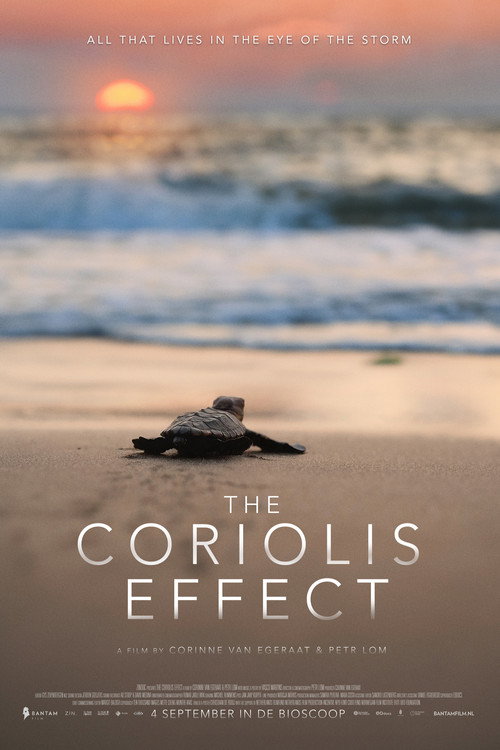 Movie poster for The Coriolis Effect (2025)