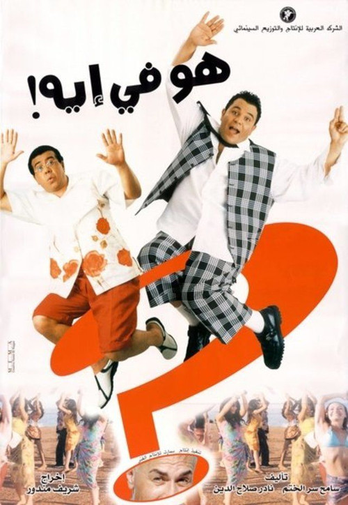 Movie poster for What's Going on? (2002)