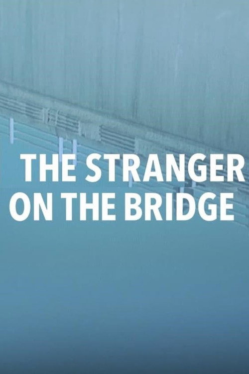 Movie poster for The Stranger on the Bridge (2015)