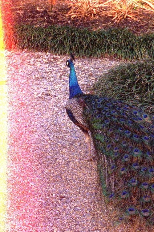 Movie poster for Otherhood (2023)