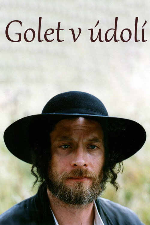 Movie poster for The Golet in the Valley (1995)