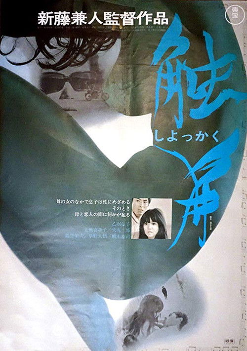 Movie poster for Strange Affinity (1970)
