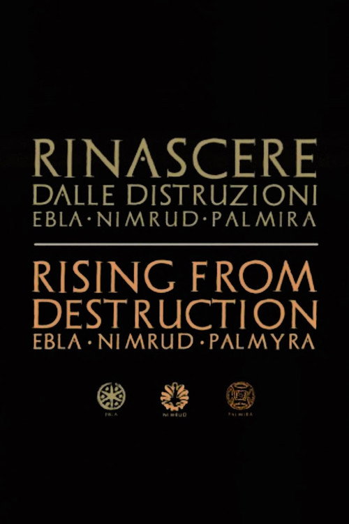 Movie poster for Palmyra: Rising from the Ashes (2017)